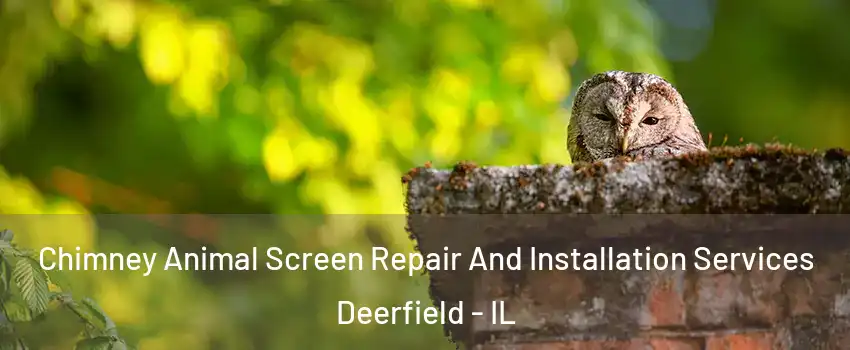  Chimney Animal Screen Repair And Installation Services Deerfield - IL