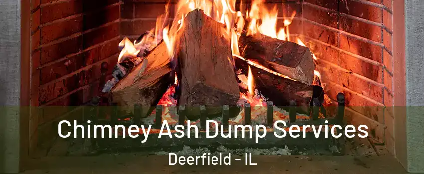  Chimney Ash Dump Services Deerfield - IL