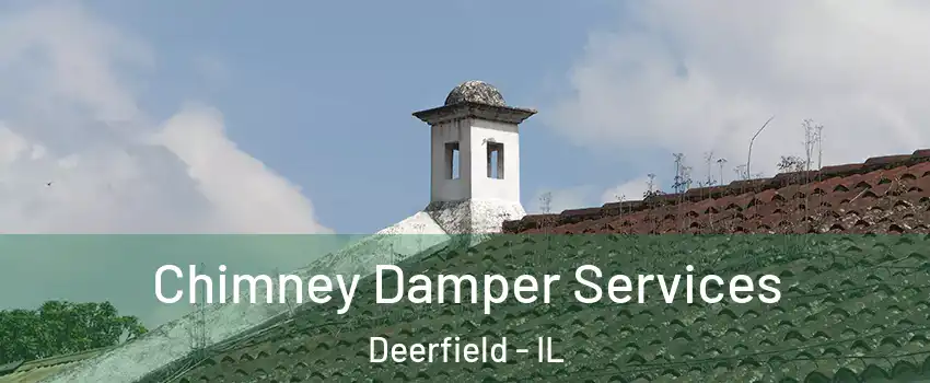  Chimney Damper Services Deerfield - IL