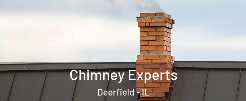  Chimney Experts Deerfield - IL