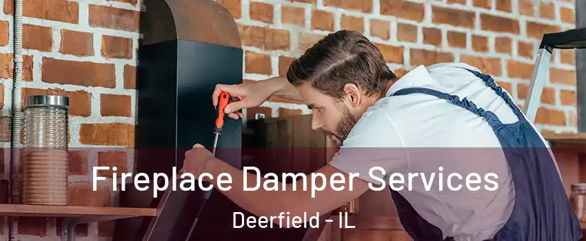 Fireplace Damper Services Deerfield - IL