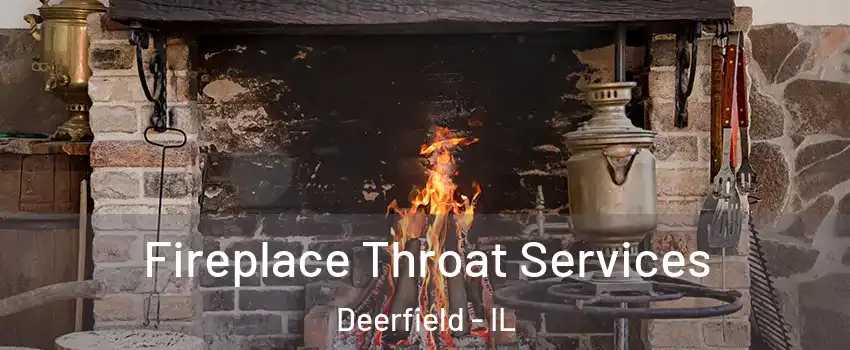  Fireplace Throat Services Deerfield - IL