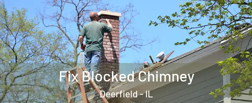  Fix Blocked Chimney Deerfield - IL