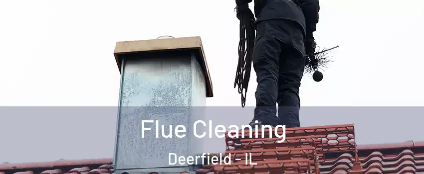  Flue Cleaning Deerfield - IL