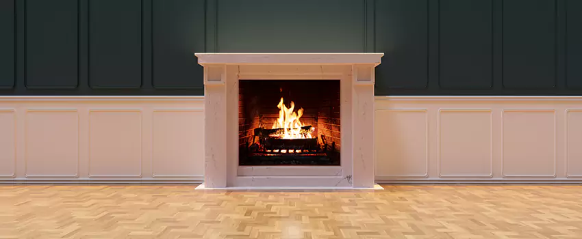 Napoleon Electric Fireplaces Inspection Service in Deerfield, Illinois