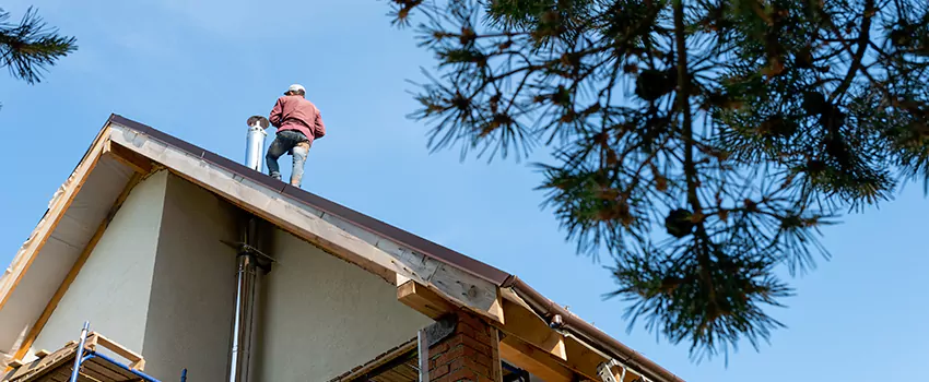 Birds Removal Contractors from Chimney in Deerfield, IL