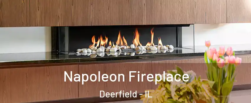  Napoleon Fireplace Deerfield - IL