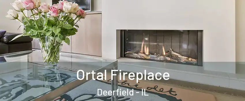  Ortal Fireplace Deerfield - IL